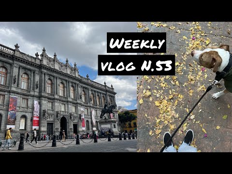 Видео: Weekly Vlog N.53: поход в музей, собачья мамка и менталочка