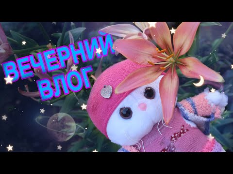 Видео: Вечер с басиком- Мишей и кошечкой Лили