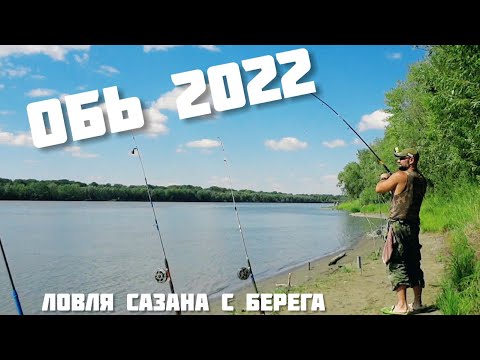 Видео: Ловля сазана на Оби 3-6 августа 2022. Готовим шашлык из сазана на берегу. Пробуем новые крючки