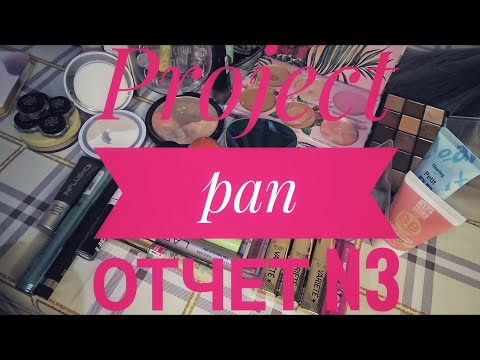 Видео: Project pan ОТЧЕТ N3!!!