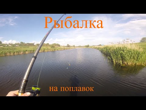 Видео: Рыбалка на поплавок**2 часть**