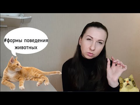 Видео: Биология. Формы поведения животных.Об этом и не только🐻