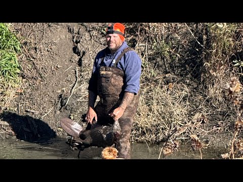 Видео: Отлов 2025-26, эпизод 2