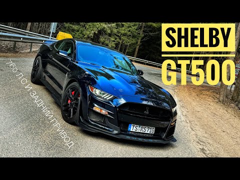 Видео: Самый мощный Mustang — Shelby GT 500