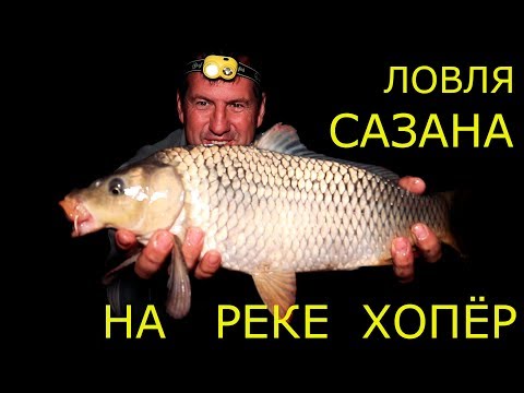 Видео: Ловля сазана на реке Хопёр