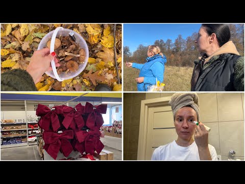 Видео: Даю відповідь на ваше запитання/Грибний сезон закрили/На дачі