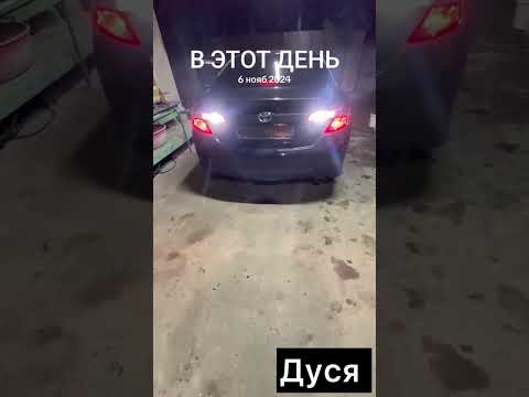 Видео: #дусяшым 