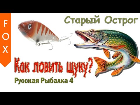 Видео: Как ловить щуку? Русская Рыбалка 4.