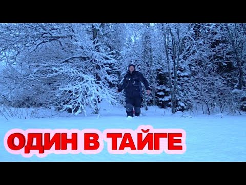 Видео: ПОШЕЛ В ЛЕС НАШЕЛ ОЗЕРО И ОБАЛДЕЛ. ПОСТАВИЛ ЖЕРЛИЦЫ ПОЙМАЛ РЫБУ И ПРИГОТОВИЛ. Зимняя рыбалка 2025