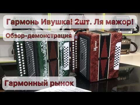 Видео: Гармонь Ивушка, 2 шт  Обзор Демонстрация  Купить гармонь  Продажа гармони