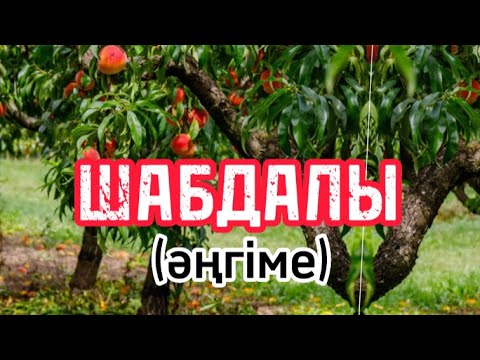 Видео: Шабдалы (әңгіме) Алмас Алматов