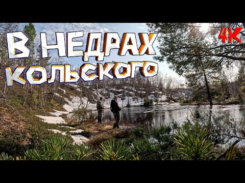 Видео: Кольский - Форель на Уре/ Оленья губа/ Петрович