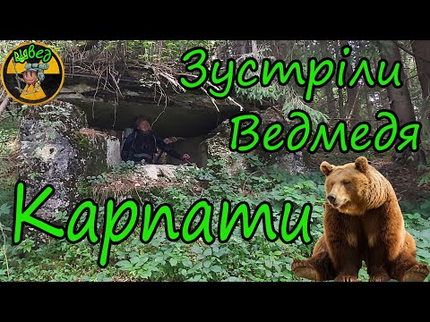 Видео: ⛰️Зустріли ведмедя в Карпатах. г.Гропа. Військовий ДОТ. Перевал Малі Рогодзи. г.Дурня.