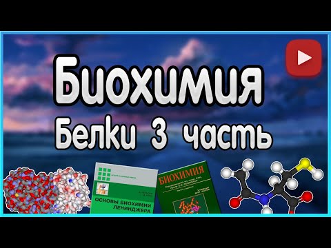 Видео: Биохимия. Лекция 4. Белки. Классификация белков.