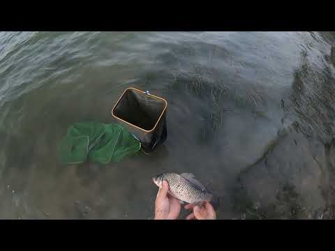 Видео: Каракуди на пружина