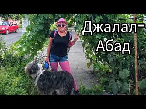 Видео: Джалал-Абад глазами туристов. Кыргызстан.