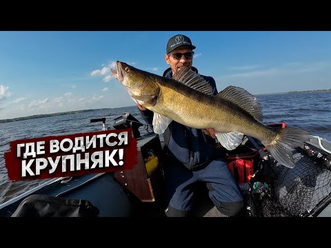 Видео: В этих МЕСТАХ живет КРУПНЯК / СТАНДАРТНЫЕ проблемы с лодкой ПВХ! Чудо приманки на трофейного СУДАКА