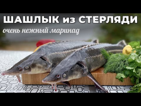 Видео: Нежнейший шашлык из стерляди. Лучший маринад для стерляди. Мужская Кухня