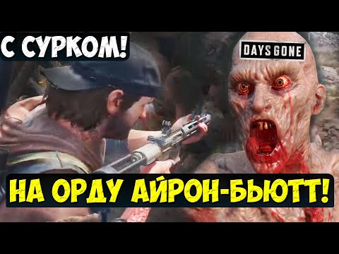 Видео: НА ОРДУ АЙРОН БЬЮТТ! ДА с СУРКОМ! #daysgoneremastered #horde #playkingames #орда #ironbutte