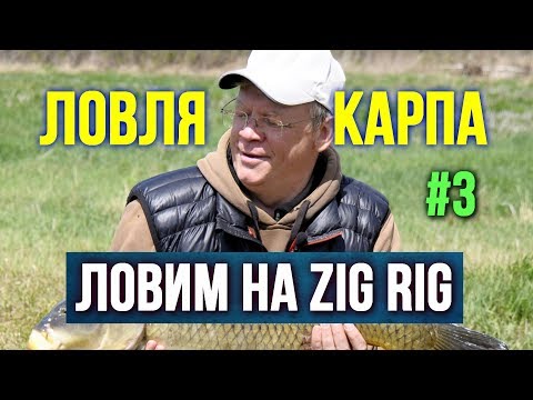 Видео: Ловля карпа на ZIG RIG Третья серия https://youtu.be/kFrmofc2KnY