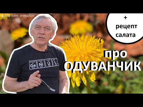 Видео: КАК УБРАТЬ ГОРЕЧЬ ИЗ ЛИСТЬЕВ ОДУВАНЧИКОВ И ПРИГОТОВИТЬ ВКУСНЫЙ САЛАТ?