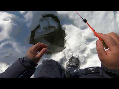 Видео: Рыбалка на Озере.Отличный клёв..