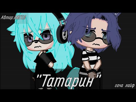 Видео: 🧨~Клип "Татарин"~ 🧨{💍Гача лайф💍} #врек #гача #гачалайф #fop #fup #gachalife #вреки #клип #врек