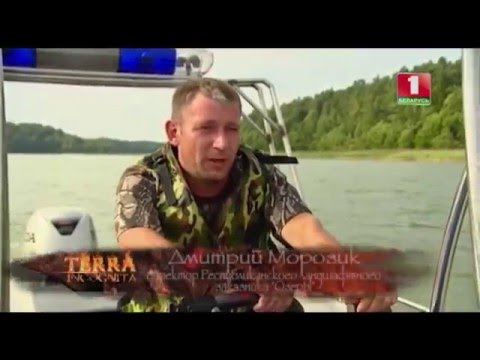 Видео: Озёры. Беларусь Неизвестная. Terra Incognita.