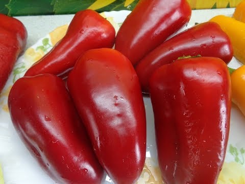 Видео: СЛАДКИЙ ПЕРЕЦ МЕДАЛЬ В ФАЗЕ БИОЛОГИЧЕСКОЙ ЗРЕЛОСТИ. Ольга Чернова.