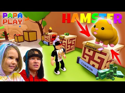 Видео: Купил ХОМЯЧКА в Club Roblox