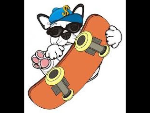 Видео: Учим щенка   кататься на скейте за 6 недель..