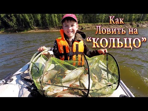 Видео: Клев на Снасть Кольцо! Хороший Клёв!