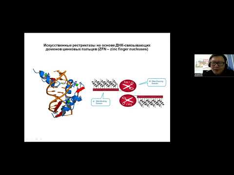 Видео: Школа молодых учёных: Дашинимаев Э.Б. - Редактирование генома? CRISPR/Cas9!