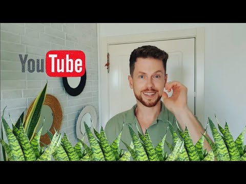 Видео: Мои сансевьерии.Полная коллекция 40+ растений. Август 2021. My entire sansevieria plant collection.