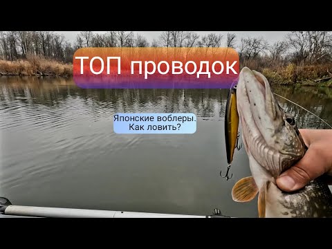 Видео: ЯПОНСКИЕ ВОБЛЕРЫ. ТОП проводок.   Ловля щуки в конце октября. Какой спиннинг выбрать?