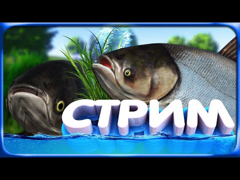 Видео: РР4 СТРИМ  •⭐ПРОВЕРКА ФАРМА СЕРЕБРА на МЕДНОМ ОЗЕРЕ и на ОСЁТРАХ⭐#рр4 #рр4стрим