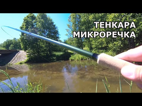 Видео: ТЕНКАРА. Микроречка. Когда рыбалка пошла не по плану...