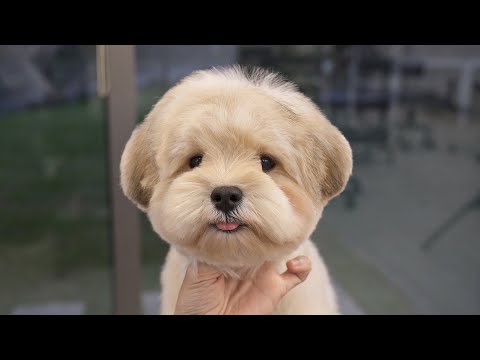 Видео: Скажи мне хоть раз, что я не милый!