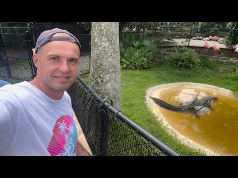 Видео: Люблю Майами, но не полностью