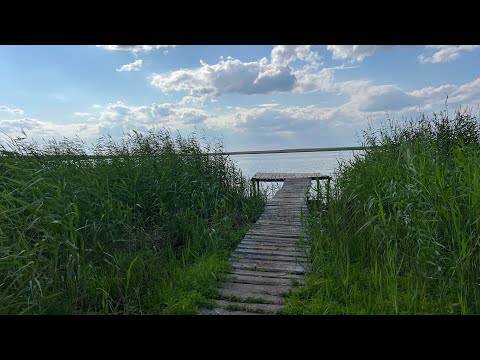 Видео: Плотина «Белый Дом» Карповая Рыбалка..#врек #fishing #рыбалканафидер #рыбалка #carpfishing #карп