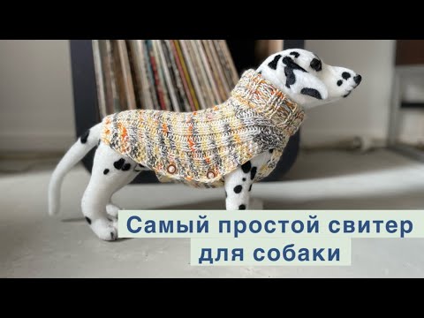 Видео: Самый простой и легкий в исполнении свитер для собаки