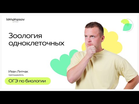 Видео: Зоология одноклеточных | ОГЭ 2025 по Биологии