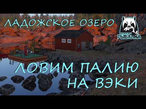 Видео: Русская рыбалка 4. Озеро Ладожское. Фарм. Спиннинг. Палия. Вэки.