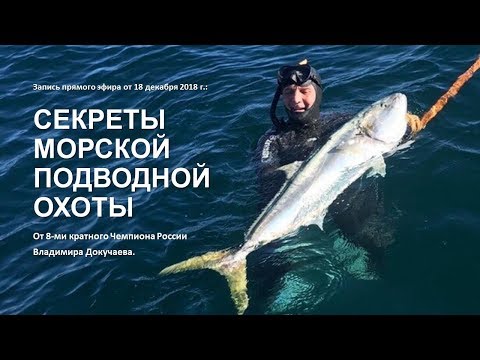 Видео: Секреты морской подводной охоты от Владимира Докучаева