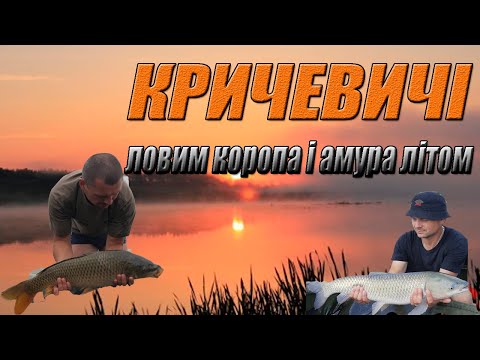Видео: Ловля коропа і амура літом.Сімейний Carpfishing.