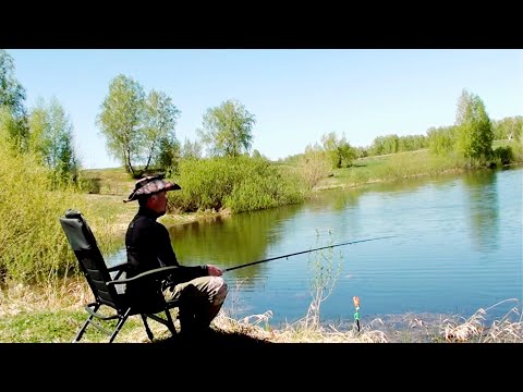Видео: РЫБАЛКА НА КАРАСЯ 2024! Ловля на ТРИ разных СПОСОБА!!! Весенняя природа Алтайского края!
