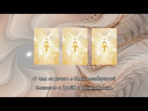 Видео: О чем он хочет с вами поговорить? Близость и драйв к размножению.