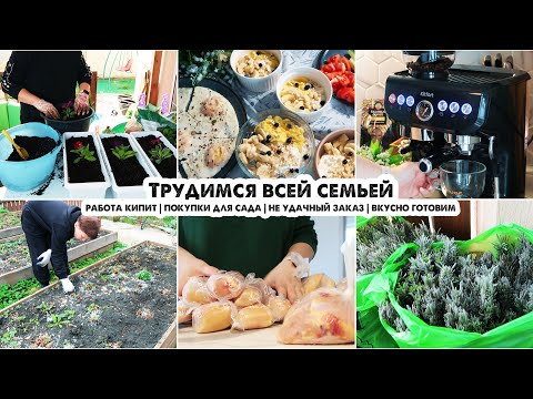 Видео: Все при деле🏡Покупки для сада | Суп с домашней лапшой |Ожидание-реальность | Работа дома в саду