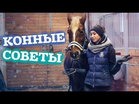 Видео: КОННЫЕ СОВЕТЫ | Как мотать бинты и многое другое