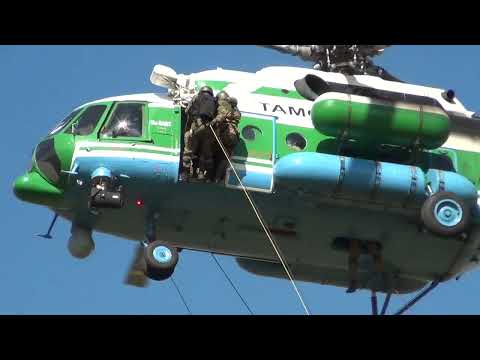 Видео: Подготовка специалистов